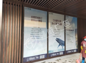 上饒江西寫真背膠